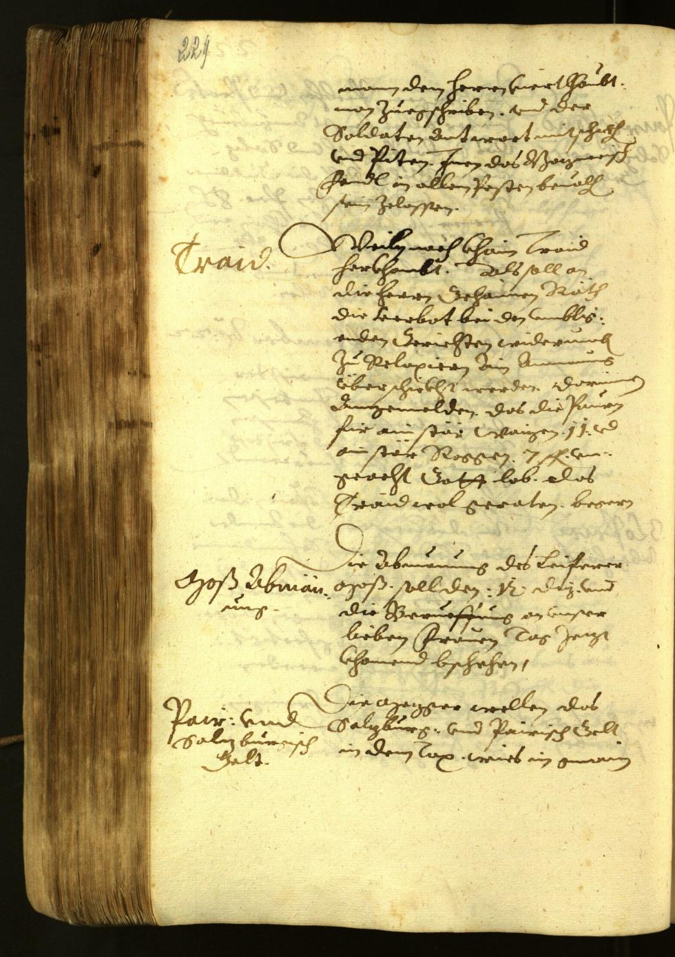 Civic Archives of Bozen-Bolzano - BOhisto Minutes of the council 1622 