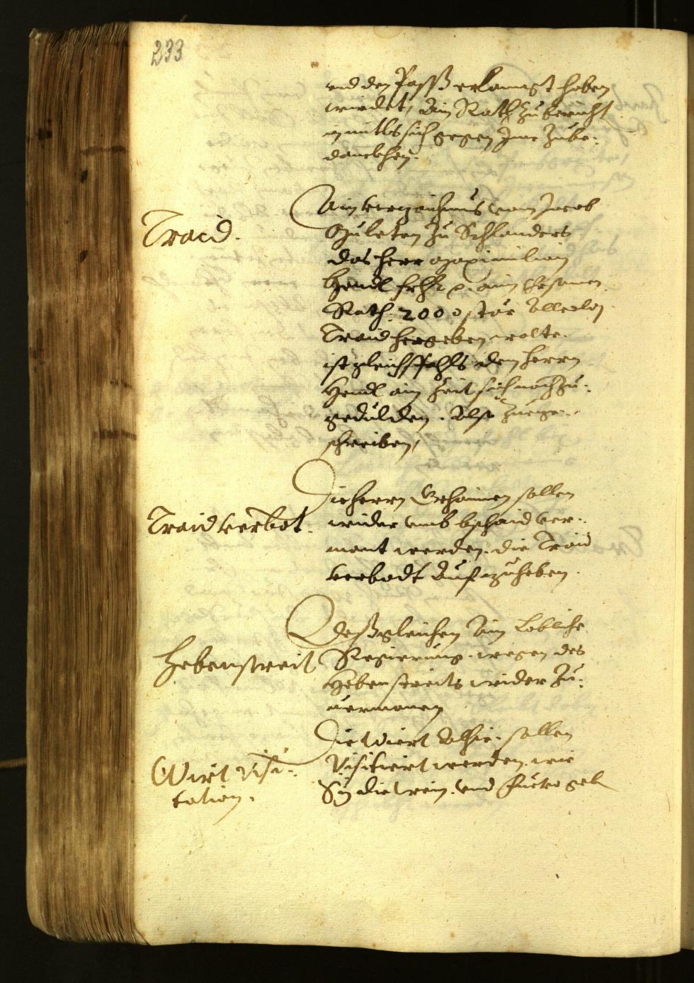 Archivio Storico della Città di Bolzano - BOhisto protocollo consiliare 1622 