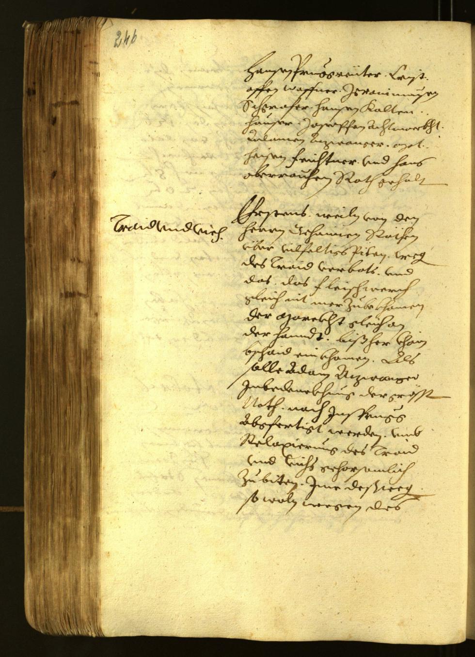 Civic Archives of Bozen-Bolzano - BOhisto Minutes of the council 1622 