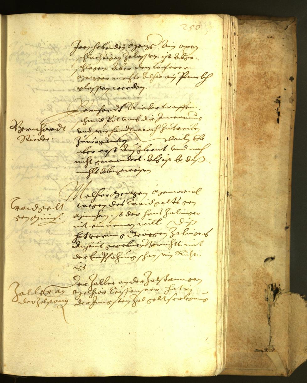 Civic Archives of Bozen-Bolzano - BOhisto Minutes of the council 1622 