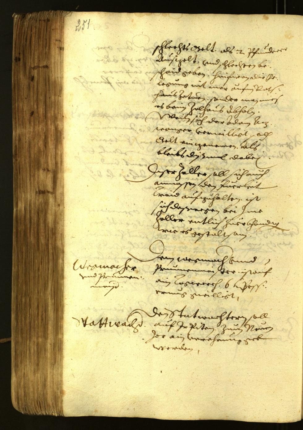 Civic Archives of Bozen-Bolzano - BOhisto Minutes of the council 1622 