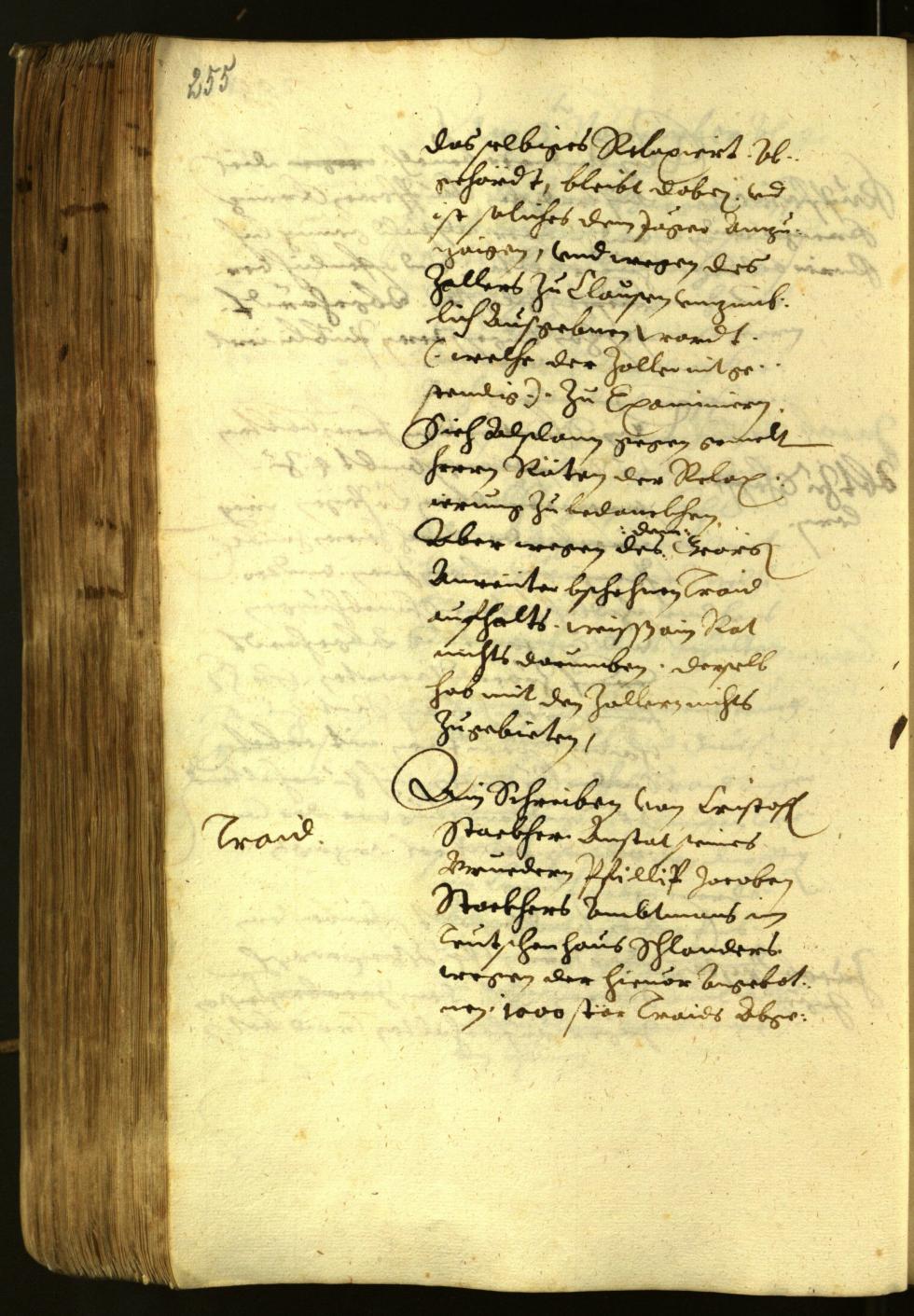 Archivio Storico della Città di Bolzano - BOhisto protocollo consiliare 1622 