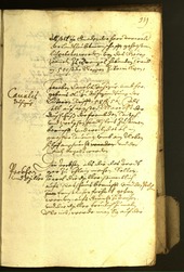 Civic Archives of Bozen-Bolzano - BOhisto Minutes of the council 1622 - 