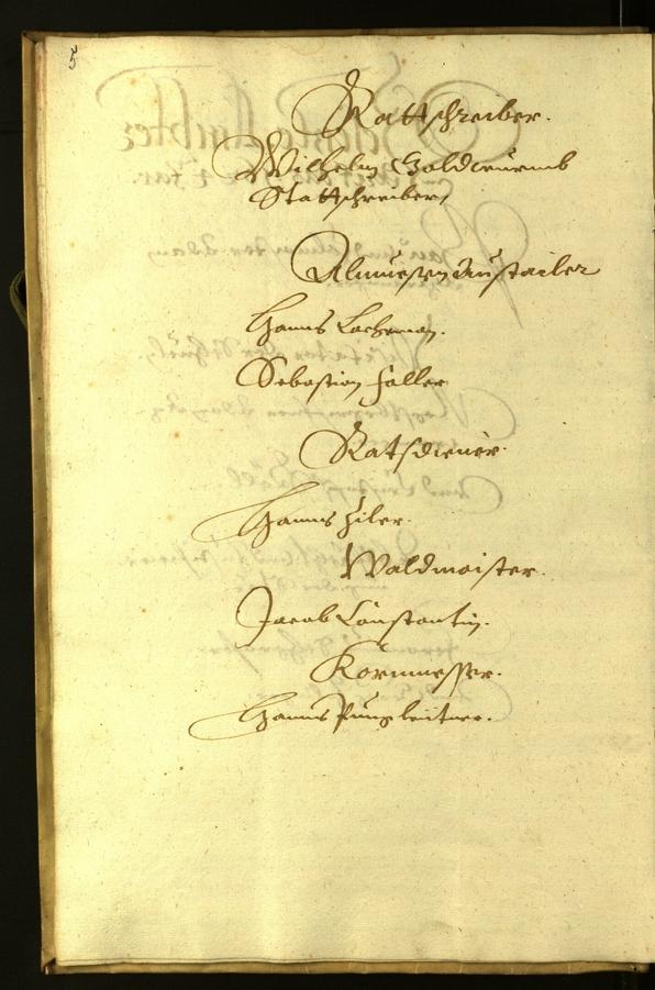 Civic Archives of Bozen-Bolzano - BOhisto Minutes of the council 1624 