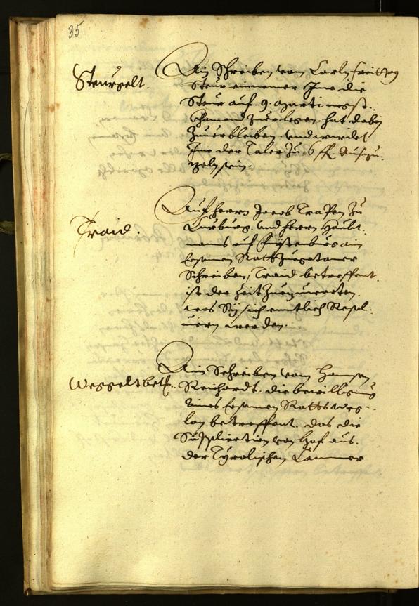 Civic Archives of Bozen-Bolzano - BOhisto Minutes of the council 1624 