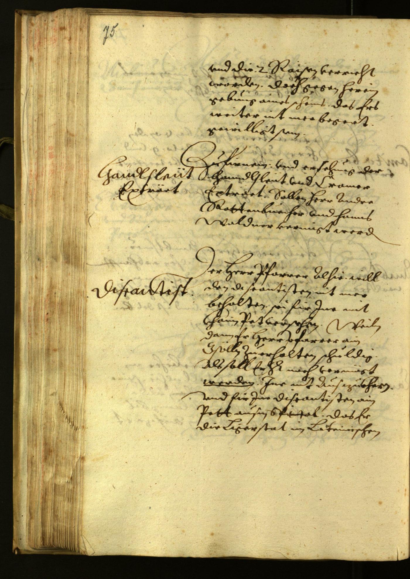 Archivio Storico della Città di Bolzano - BOhisto protocollo consiliare 1624 