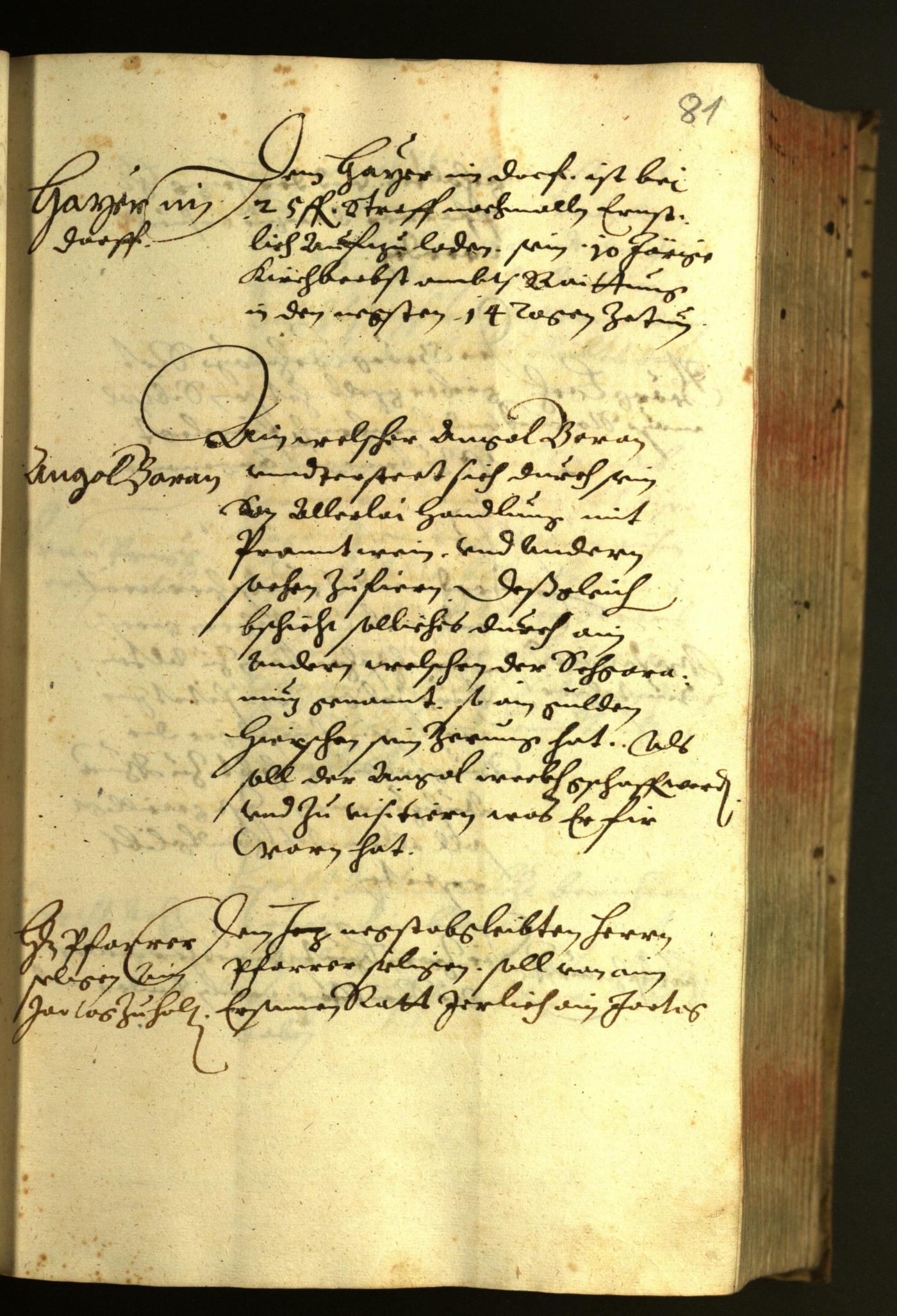 Stadtarchiv Bozen - BOhisto Ratsprotokoll 1624 