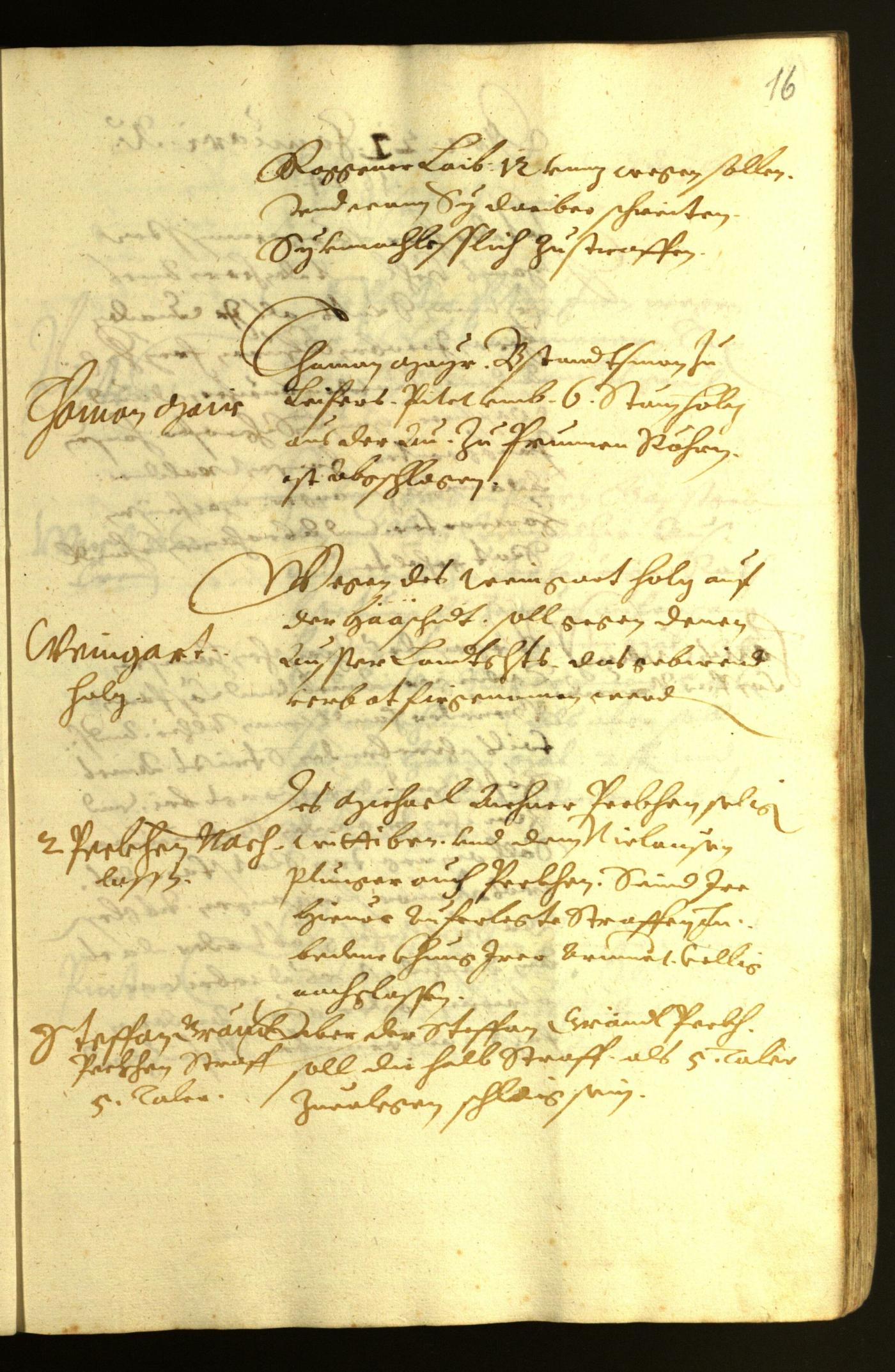 Civic Archives of Bozen-Bolzano - BOhisto Minutes of the council 1624 