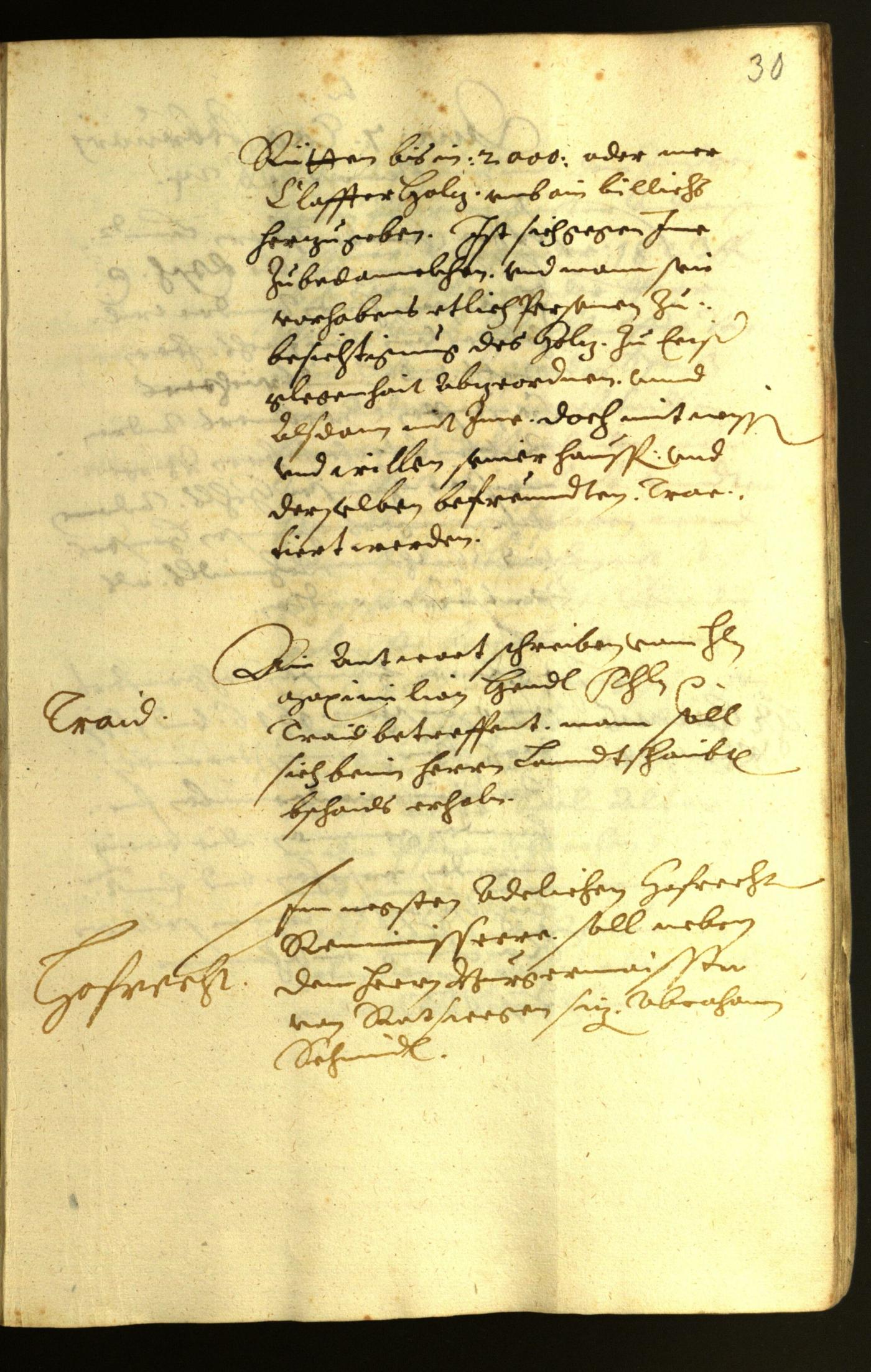 Civic Archives of Bozen-Bolzano - BOhisto Minutes of the council 1624 