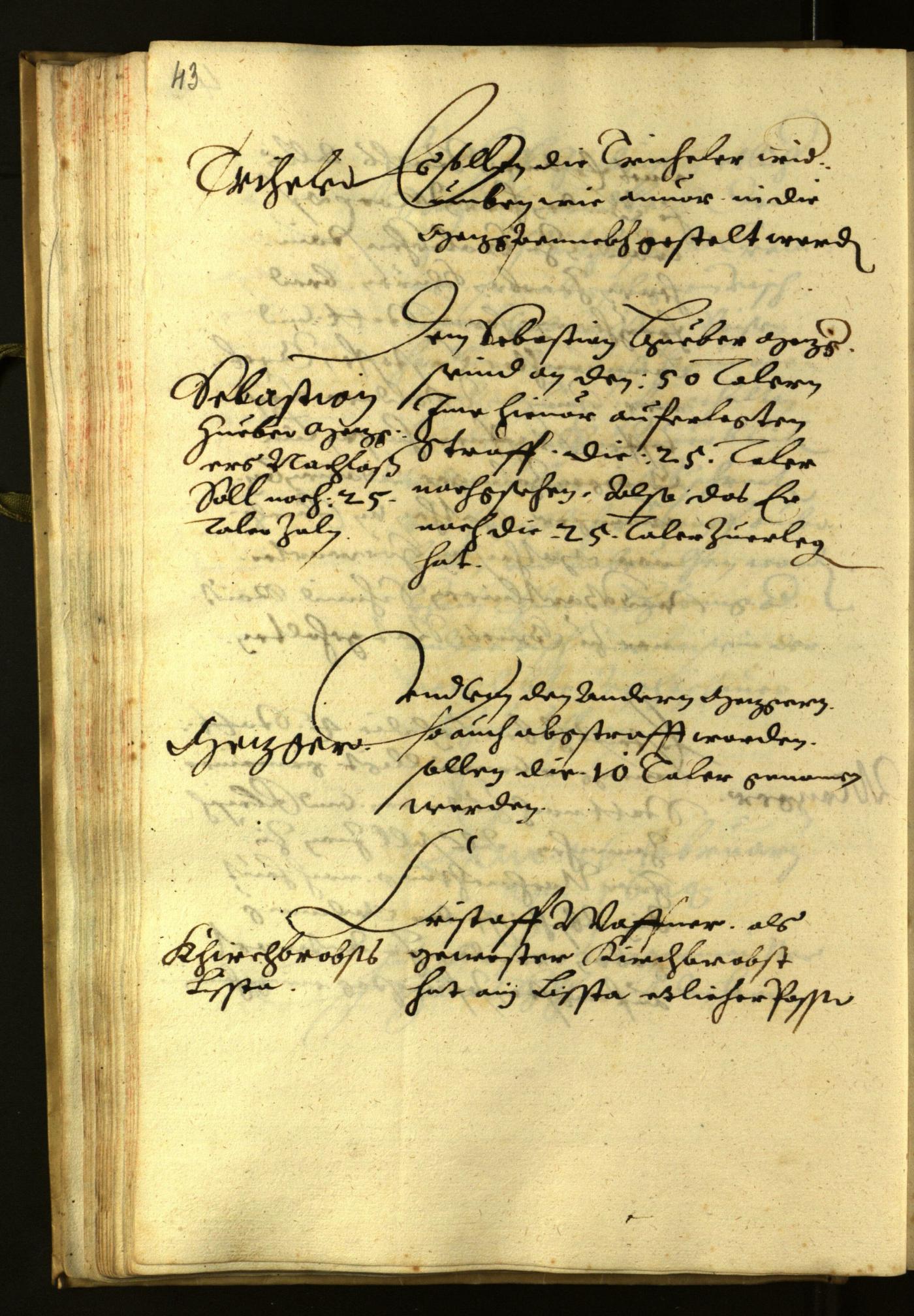 Stadtarchiv Bozen - BOhisto Ratsprotokoll 1624 