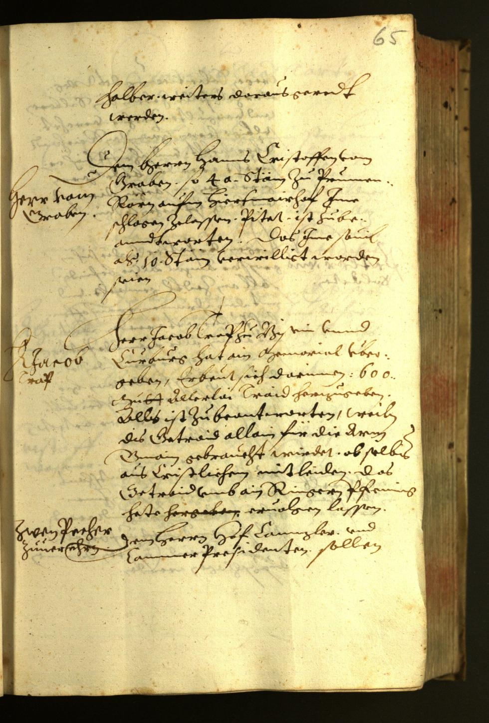 Civic Archives of Bozen-Bolzano - BOhisto Minutes of the council 1624 