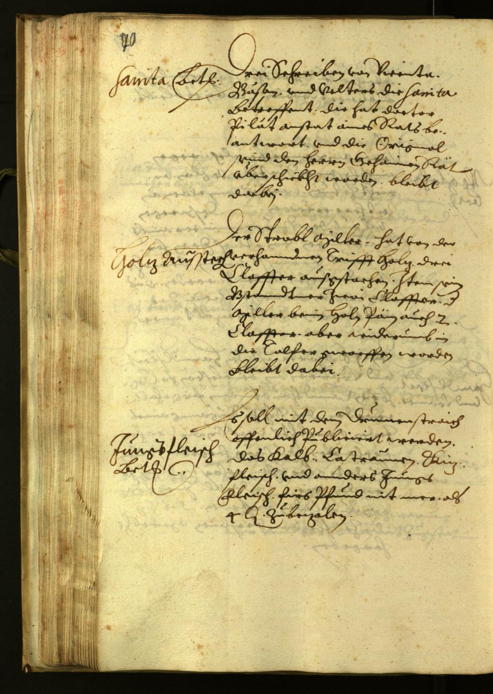 Stadtarchiv Bozen - BOhisto Ratsprotokoll 1624 