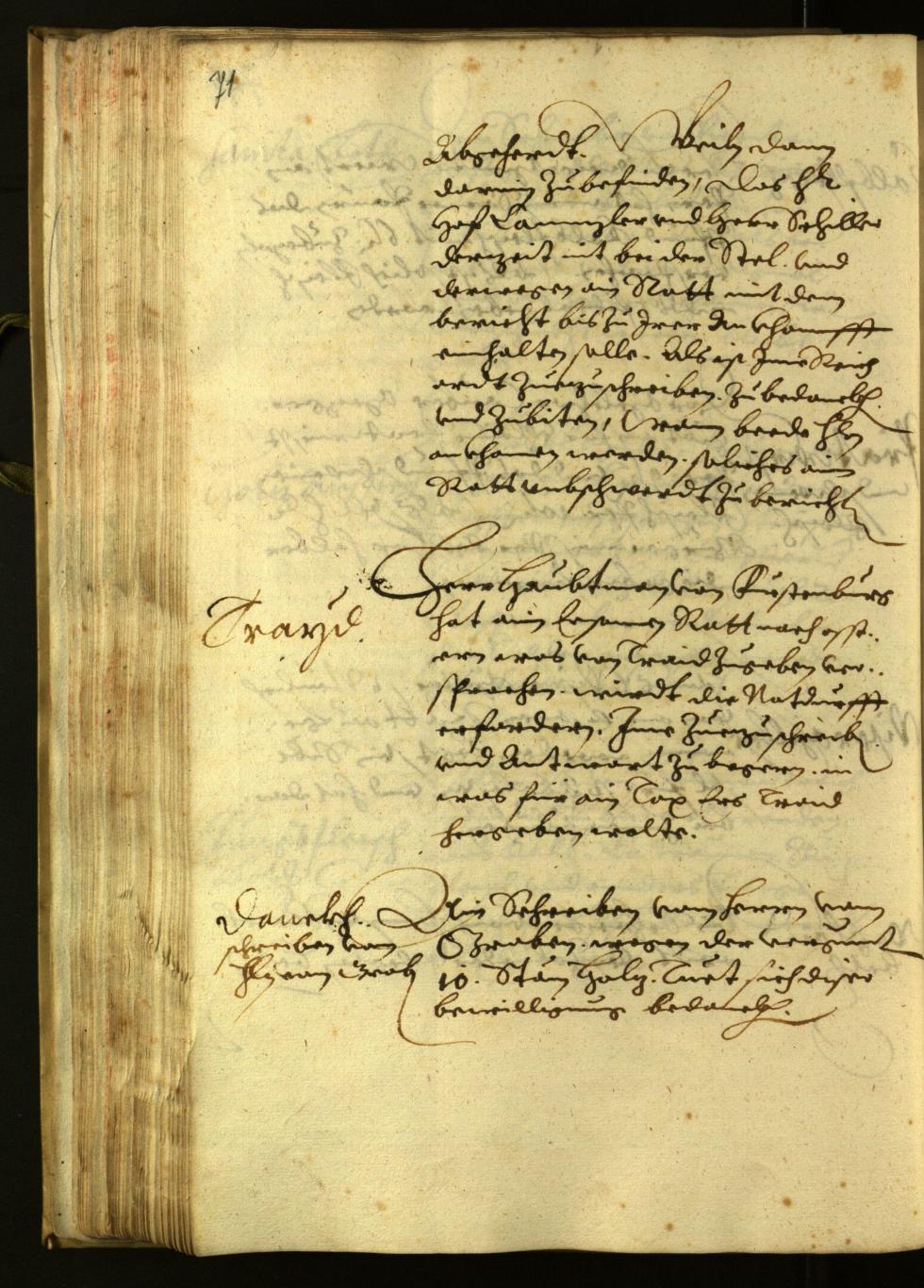 Archivio Storico della Città di Bolzano - BOhisto protocollo consiliare 1624 