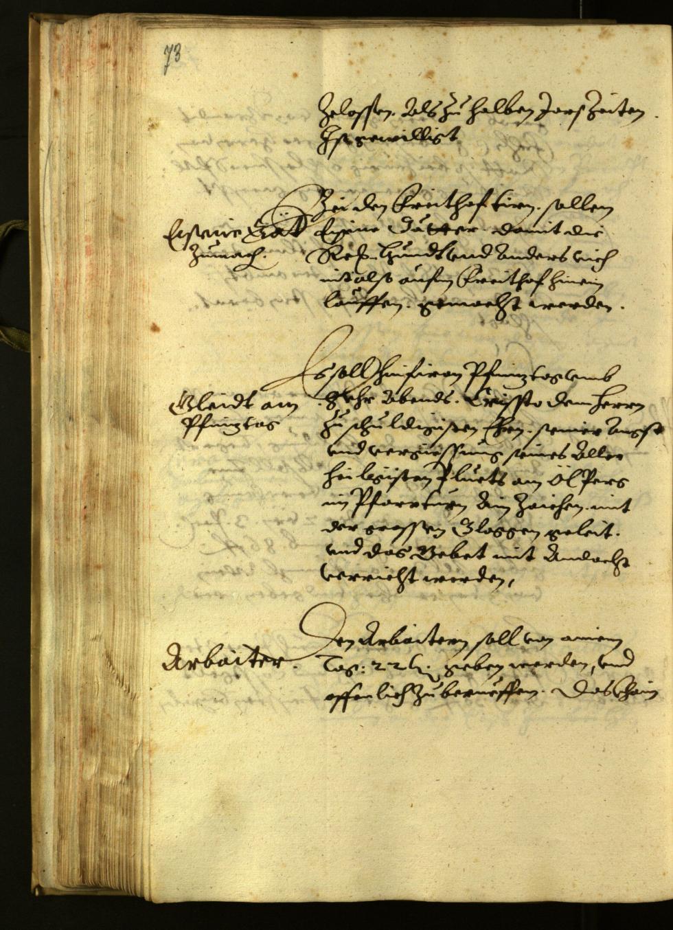 Civic Archives of Bozen-Bolzano - BOhisto Minutes of the council 1624 