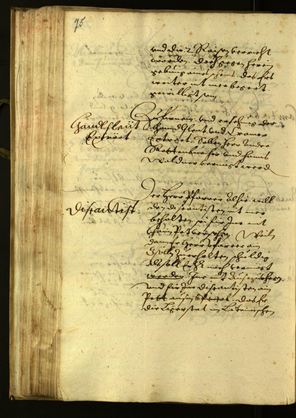 Civic Archives of Bozen-Bolzano - BOhisto Minutes of the council 1624 