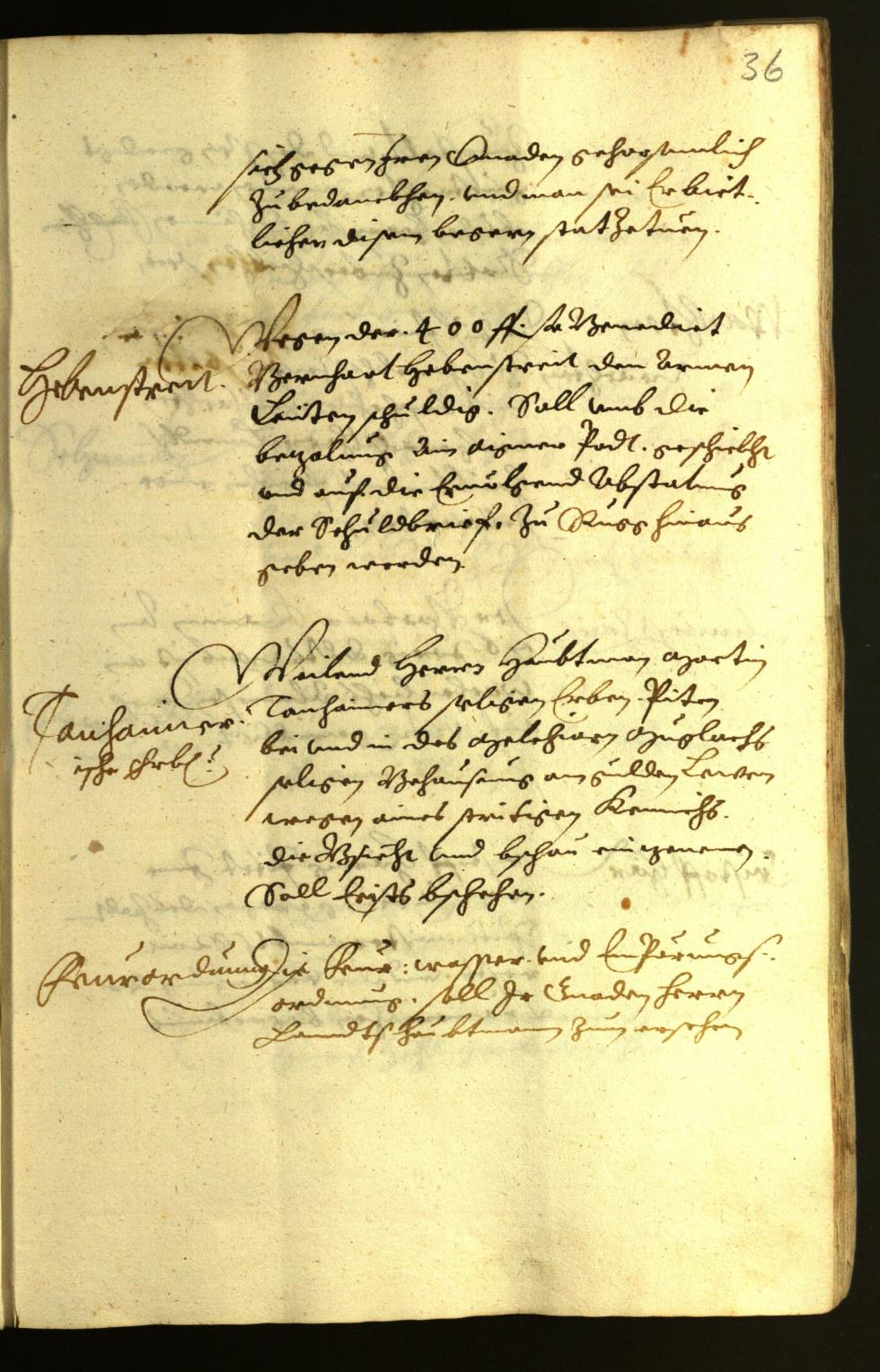 Civic Archives of Bozen-Bolzano - BOhisto Minutes of the council 1624 