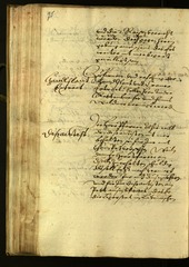 Civic Archives of Bozen-Bolzano - BOhisto Minutes of the council 1624 - 