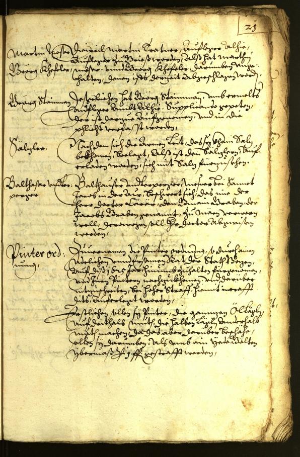 Civic Archives of Bozen-Bolzano - BOhisto Minutes of the council 1625 