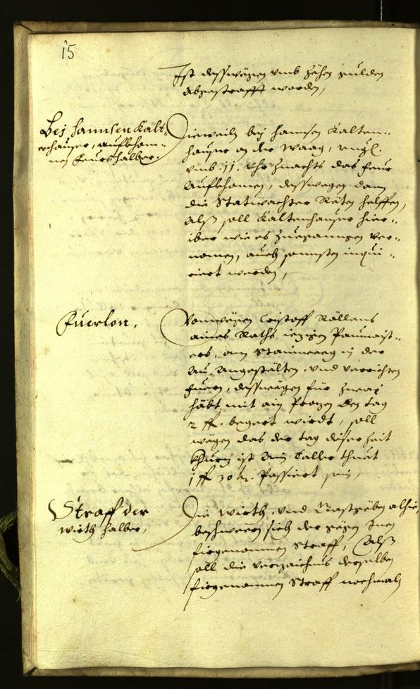 Civic Archives of Bozen-Bolzano - BOhisto Minutes of the council 1626 