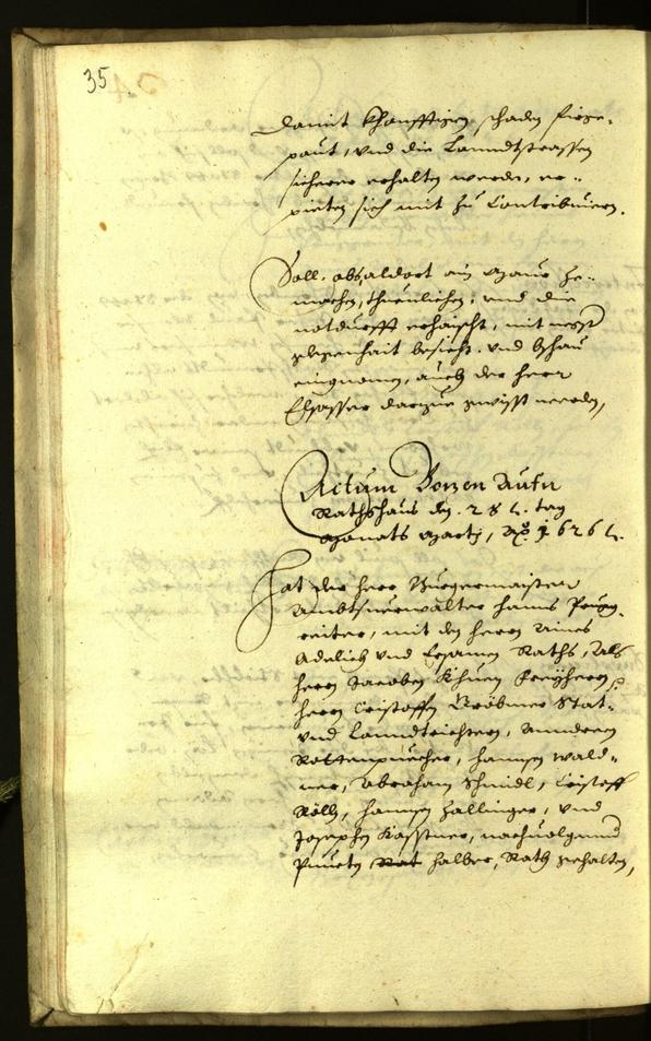 Civic Archives of Bozen-Bolzano - BOhisto Minutes of the council 1626 