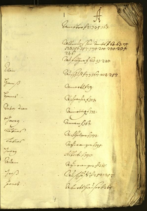 Civic Archives of Bozen-Bolzano - BOhisto Minutes of the council 1628/29 