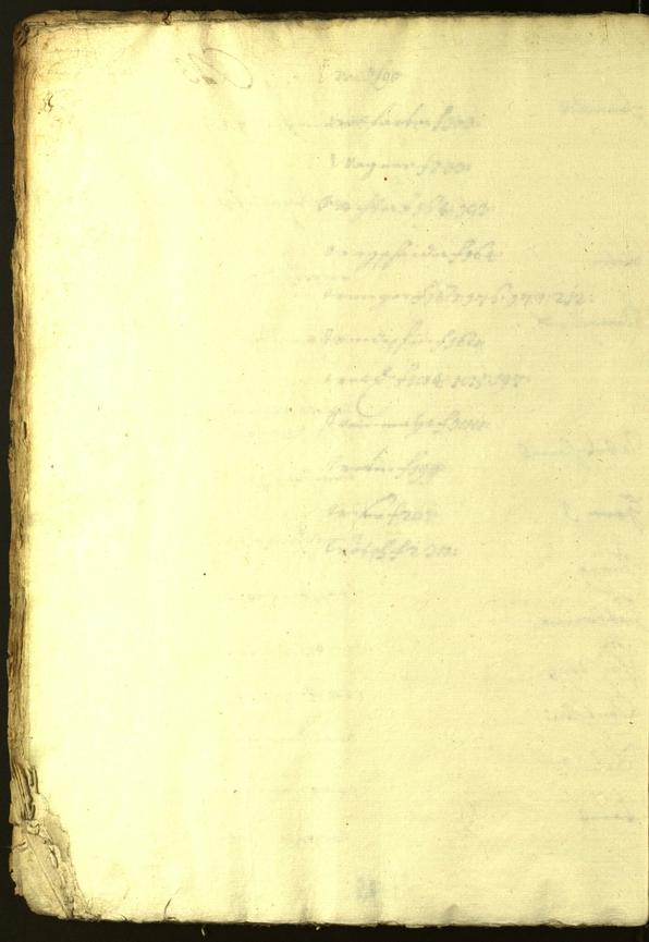 Civic Archives of Bozen-Bolzano - BOhisto Minutes of the council 1628/29 