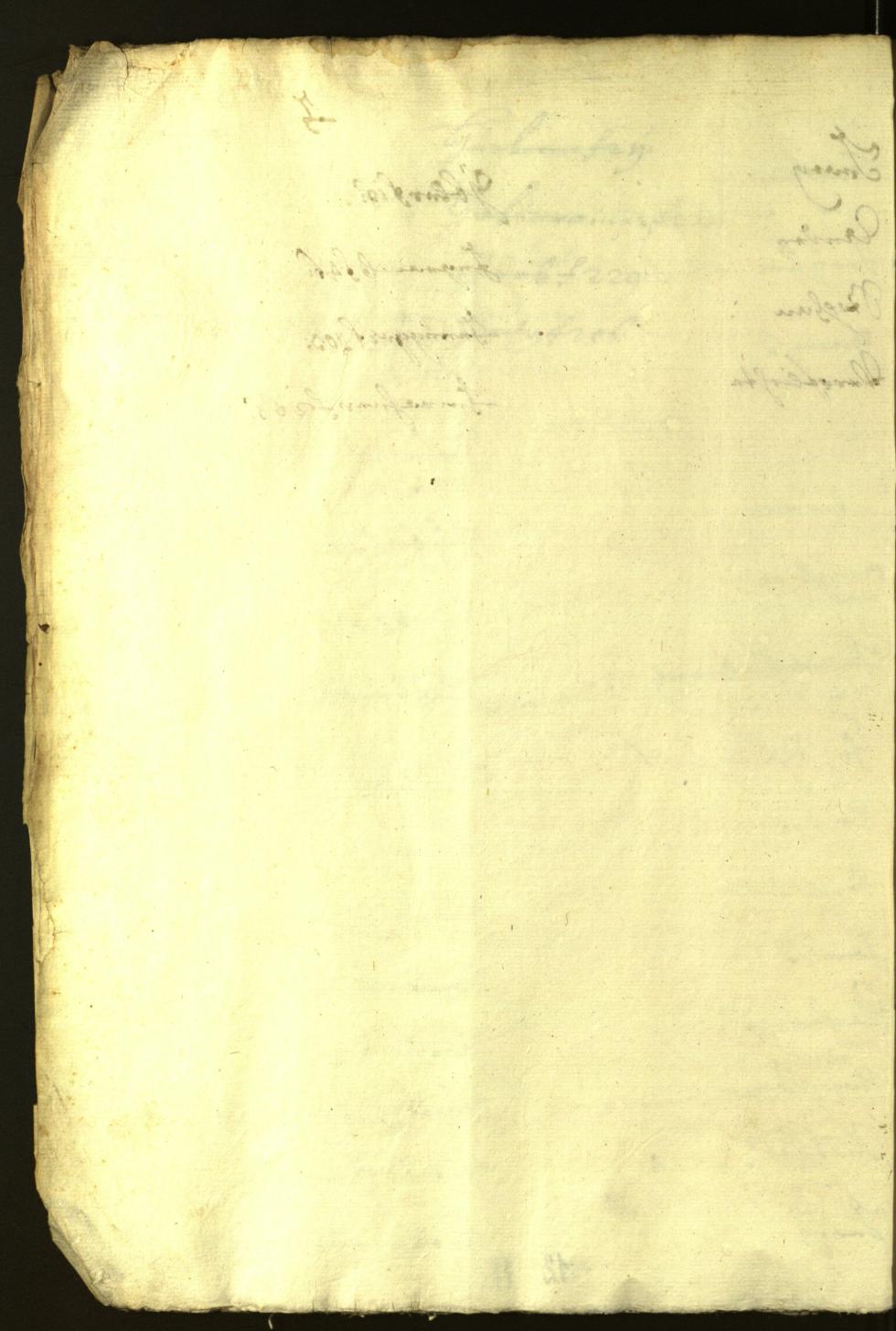 Civic Archives of Bozen-Bolzano - BOhisto Minutes of the council 1628/29 