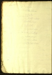 Civic Archives of Bozen-Bolzano - BOhisto Minutes of the council 1628/29 - 
