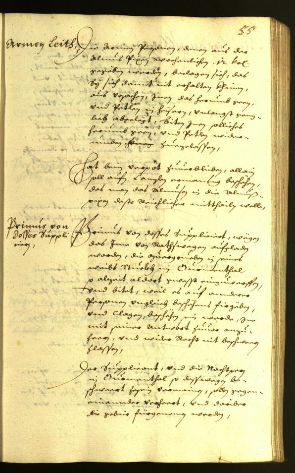 Civic Archives of Bozen-Bolzano - BOhisto Minutes of the council 1628 