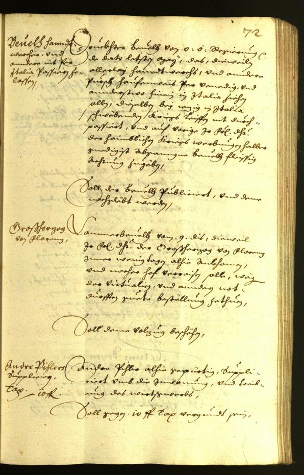 Civic Archives of Bozen-Bolzano - BOhisto Minutes of the council 1628 