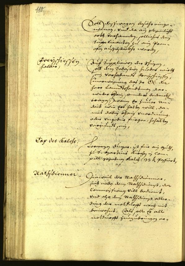 Civic Archives of Bozen-Bolzano - BOhisto Minutes of the council 1628 