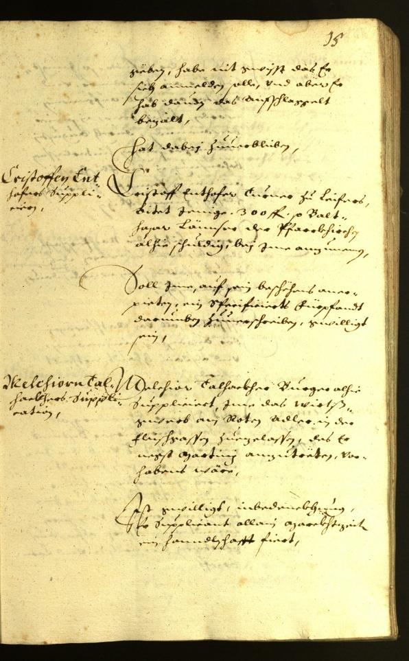 Civic Archives of Bozen-Bolzano - BOhisto Minutes of the council 1628 