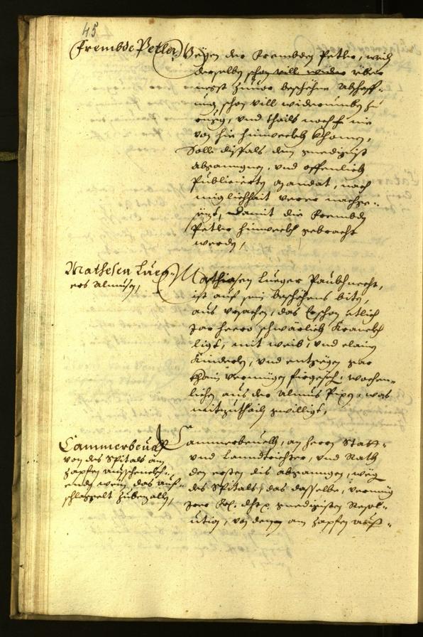 Civic Archives of Bozen-Bolzano - BOhisto Minutes of the council 1628 