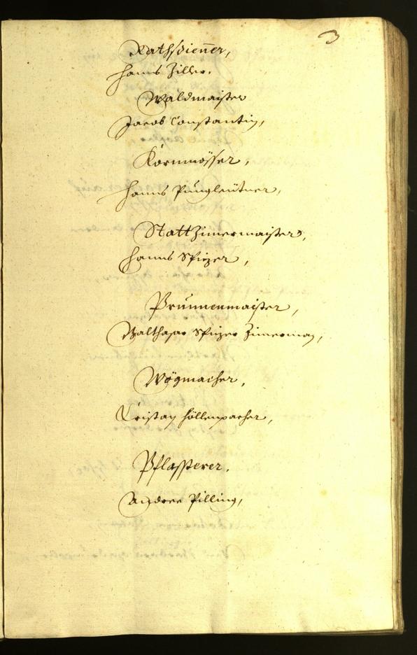 Civic Archives of Bozen-Bolzano - BOhisto Minutes of the council 1628 