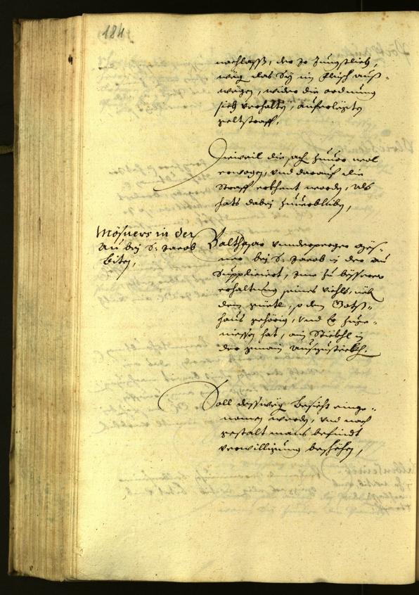 Civic Archives of Bozen-Bolzano - BOhisto Minutes of the council 1629 