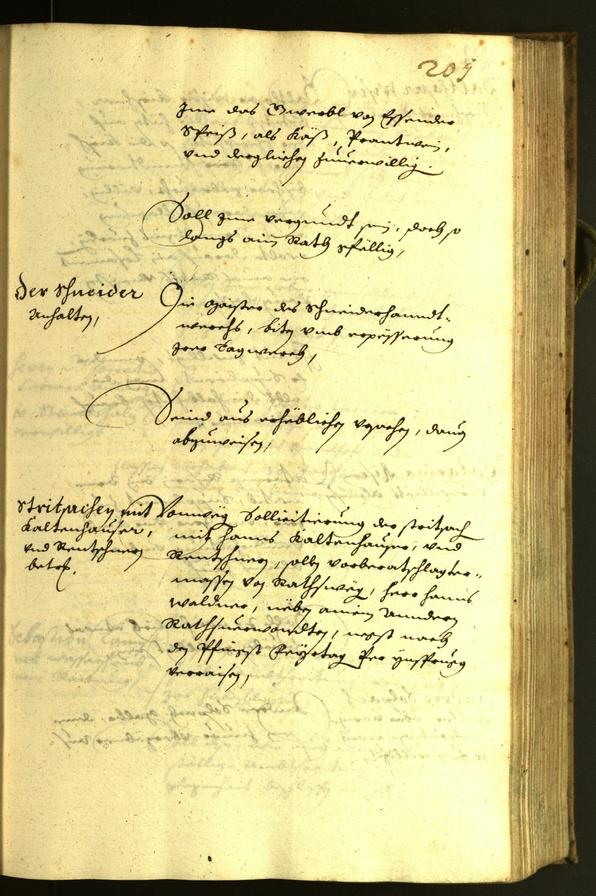 Civic Archives of Bozen-Bolzano - BOhisto Minutes of the council 1629 