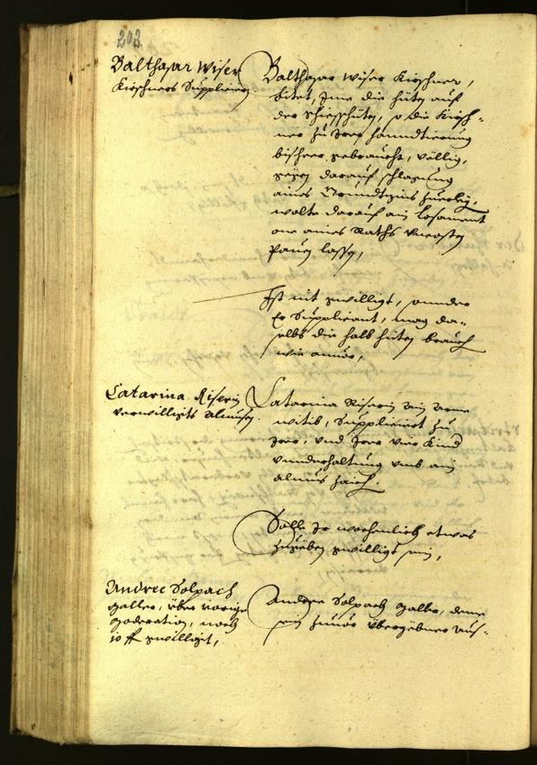 Civic Archives of Bozen-Bolzano - BOhisto Minutes of the council 1629 