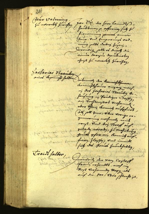 Civic Archives of Bozen-Bolzano - BOhisto Minutes of the council 1629 