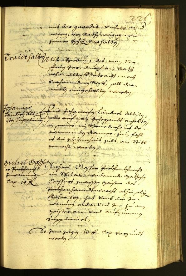 Civic Archives of Bozen-Bolzano - BOhisto Minutes of the council 1629 