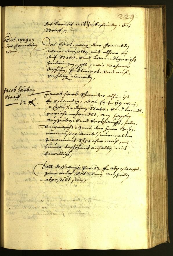 Civic Archives of Bozen-Bolzano - BOhisto Minutes of the council 1629 