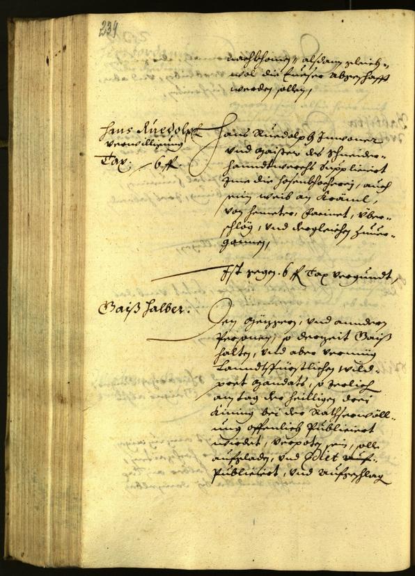 Civic Archives of Bozen-Bolzano - BOhisto Minutes of the council 1629 