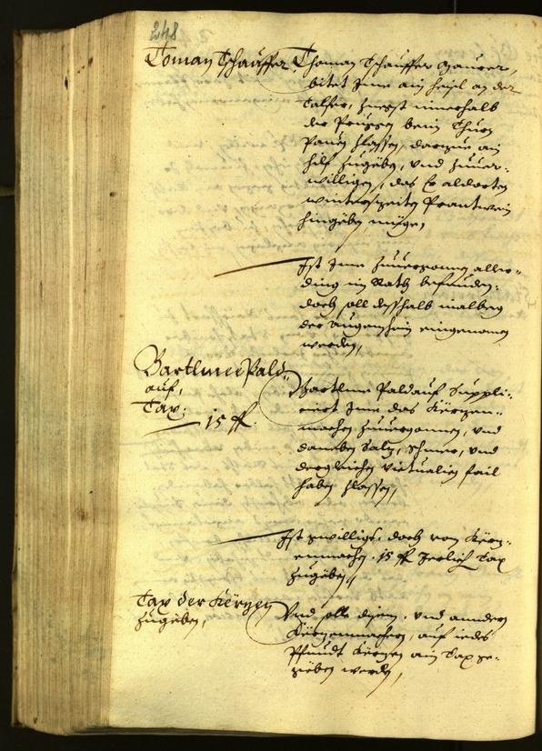 Civic Archives of Bozen-Bolzano - BOhisto Minutes of the council 1629 