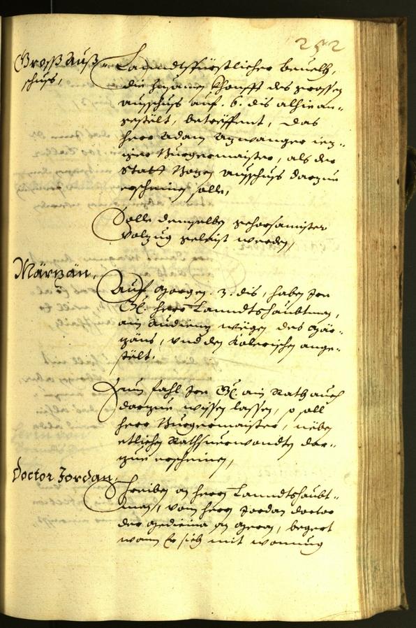 Stadtarchiv Bozen - BOhisto Ratsprotokoll 1629 