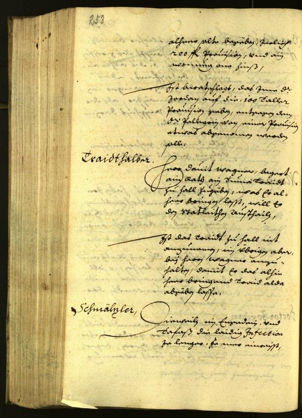 Civic Archives of Bozen-Bolzano - BOhisto Minutes of the council 1629 