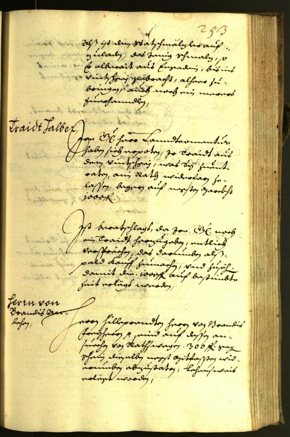 Civic Archives of Bozen-Bolzano - BOhisto Minutes of the council 1629 