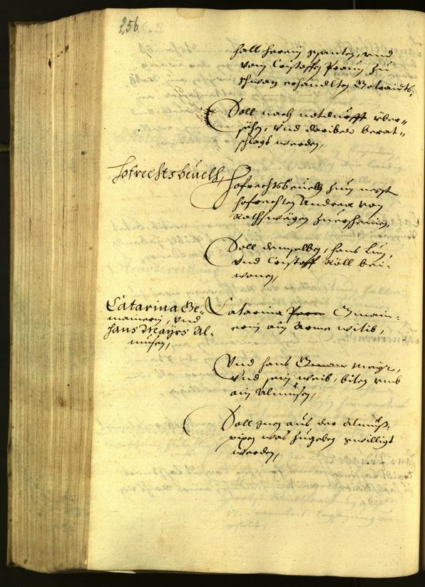 Civic Archives of Bozen-Bolzano - BOhisto Minutes of the council 1629 