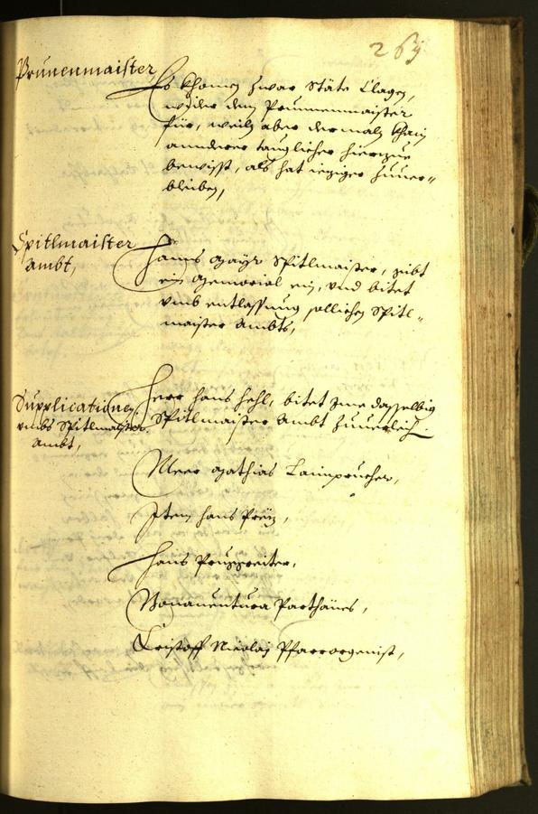 Civic Archives of Bozen-Bolzano - BOhisto Minutes of the council 1629 