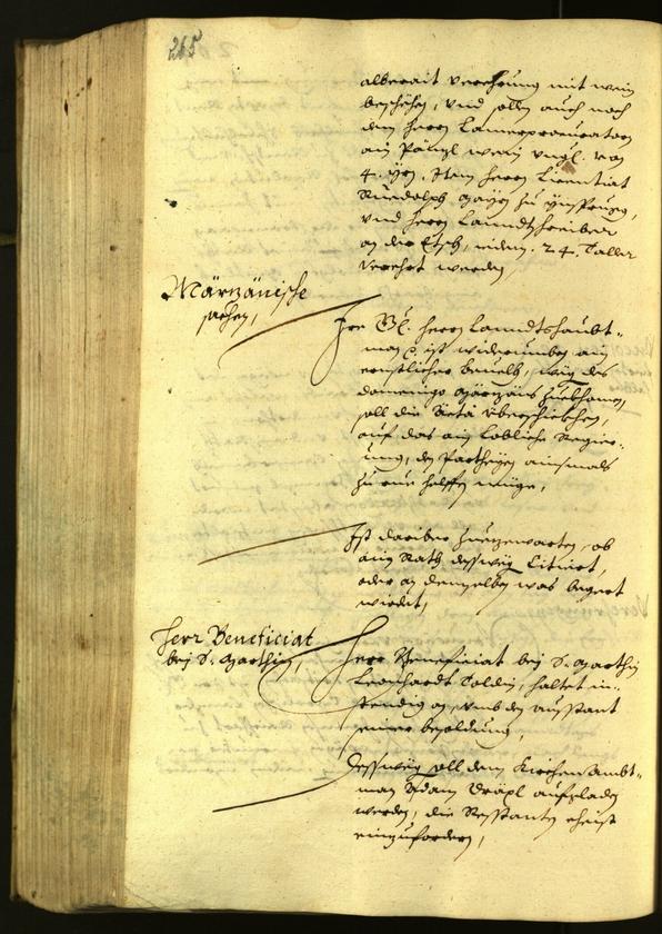 Civic Archives of Bozen-Bolzano - BOhisto Minutes of the council 1629 