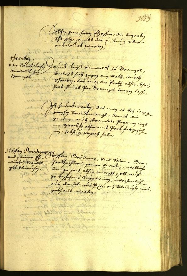 Civic Archives of Bozen-Bolzano - BOhisto Minutes of the council 1629 