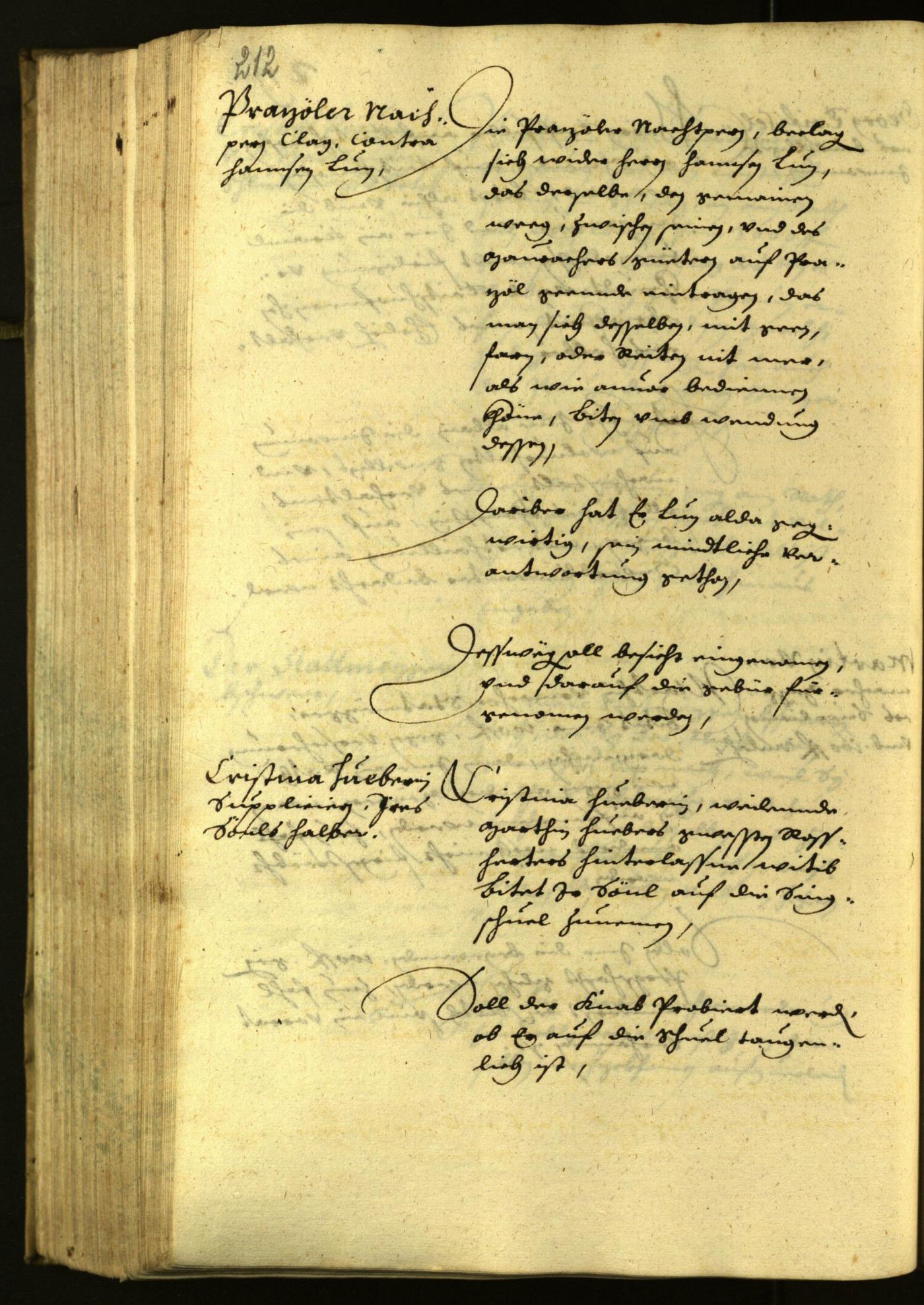 Archivio Storico della Città di Bolzano - BOhisto protocollo consiliare 1629 